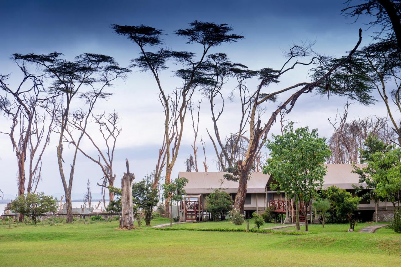 Lake Naivasha Crescent Camp Eksteriør billede