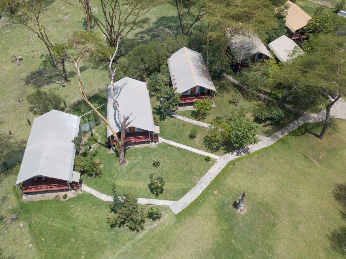 Lake Naivasha Crescent Camp Eksteriør billede