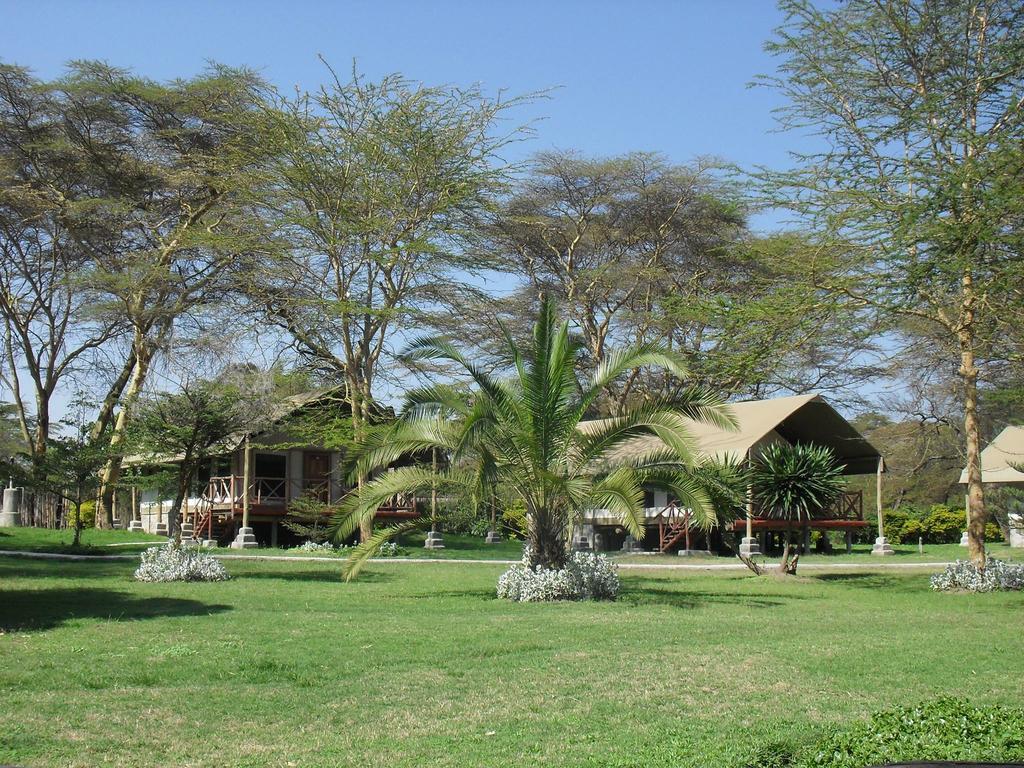 Lake Naivasha Crescent Camp Eksteriør billede